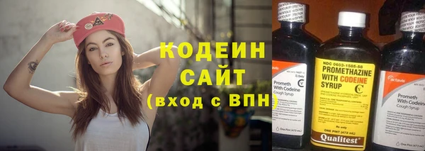 ПСИЛОЦИБИНОВЫЕ ГРИБЫ Корсаков