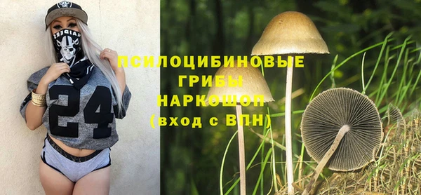 хмурый Коряжма
