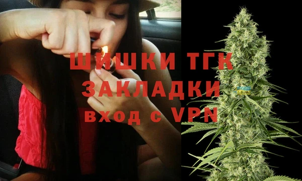 ПСИЛОЦИБИНОВЫЕ ГРИБЫ Корсаков